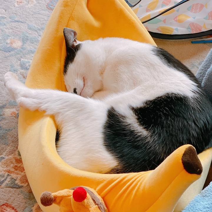 E7a2ed33 c638 4043 bfd5 01f5b9d04415 1576552440434