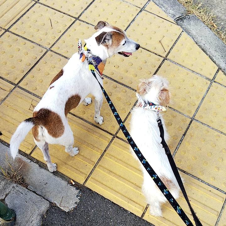 E7a2fc8b 2014 4f40 bbd2 e915ee9cb7dc 1565568360741