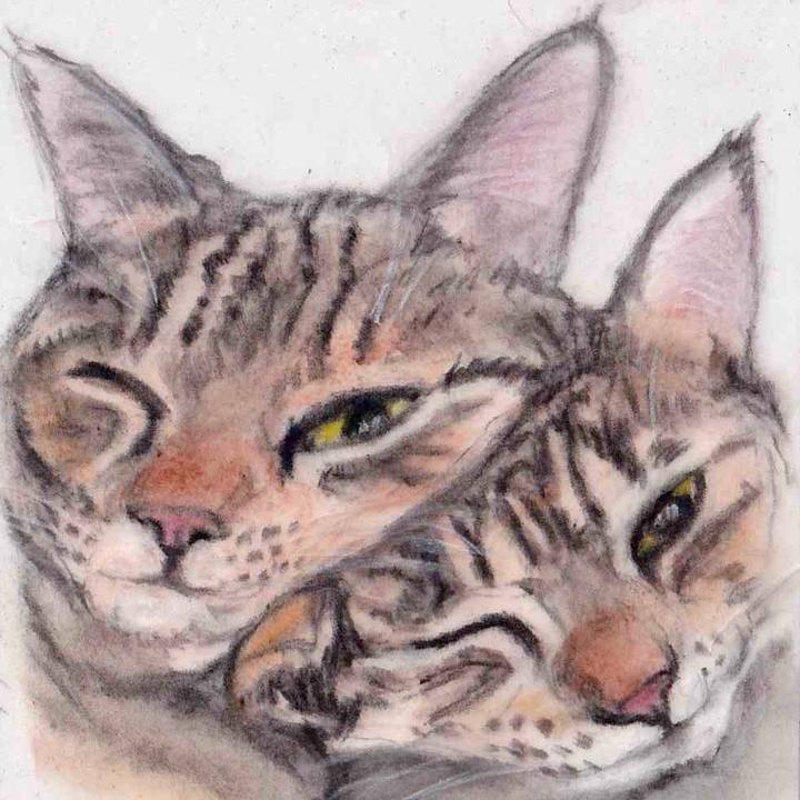 E7a30378 28e3 4413 9b70 eda0926a193b 1650036864514