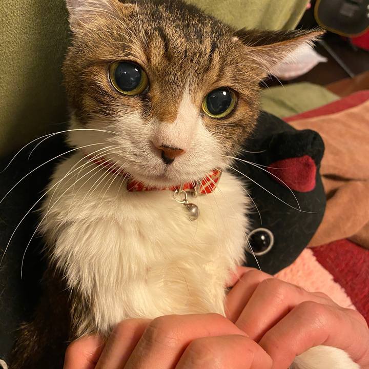 E7a3149e c7dd 4581 b722 3fdc81b3678a 1584455273635