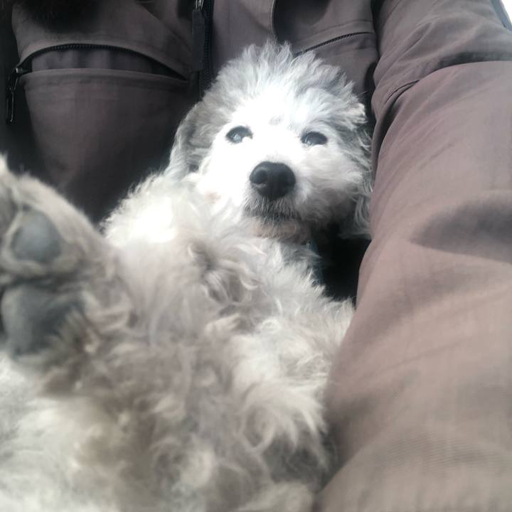 E7a325a2 991c 43b8 8d3a 3efb8689e7cc 1548630100758