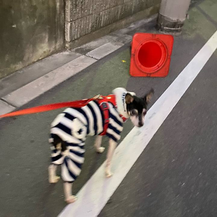 E7a3372f e425 433d ad2a 85c7131e3250 1611872109415