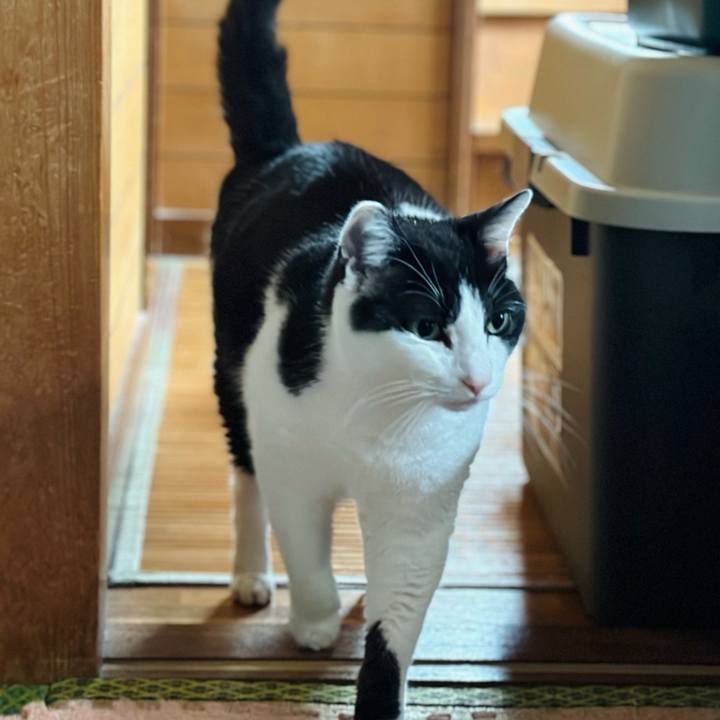 E7a36b32 a468 4dd9 8ca6 2cffc52a3c01 1715304405399