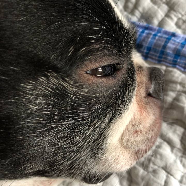 E7a371d0 6706 48cf 858e 1fbf4be9db58 1664840999777