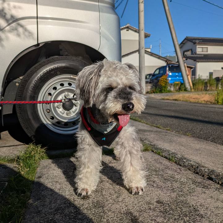 E7a3926a ab26 413d a01b e783825dea3e 1754358787153