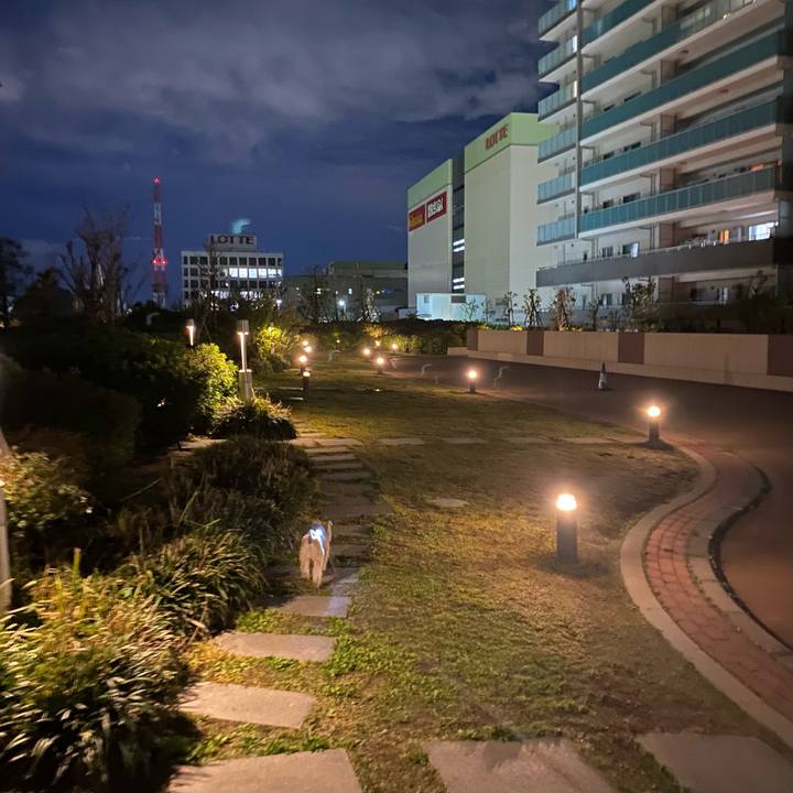 E7a39a2d 64ea 42ca 9b93 61eb15989662 1744718627442