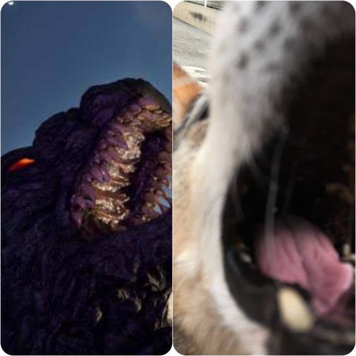 E7a3a619 e4f2 4779 956f 746fca004c32 1560720316812