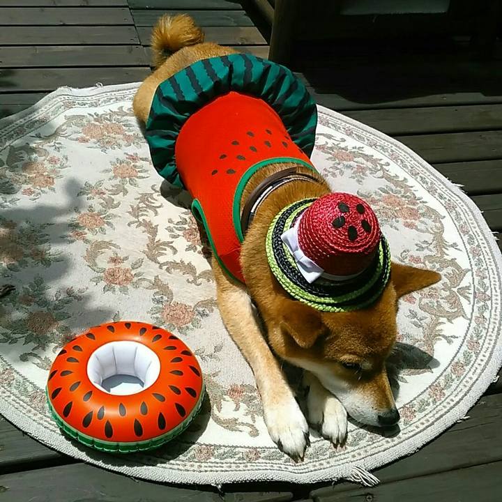 E7a3a6ee b541 4262 87db 7c1cb389f989 1563508525903