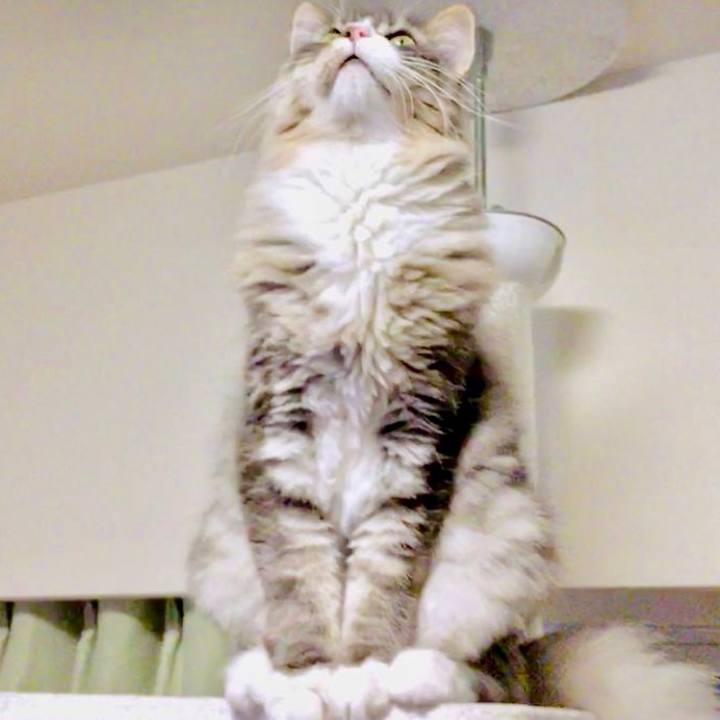 E7a3ae05 1c37 4c26 b5da eed437a8db38 1624123845170