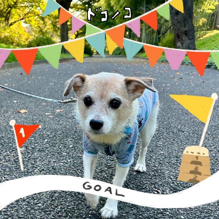 E7a3c278 c681 4b5d 9b2f 7bf355686b38 1729124416297