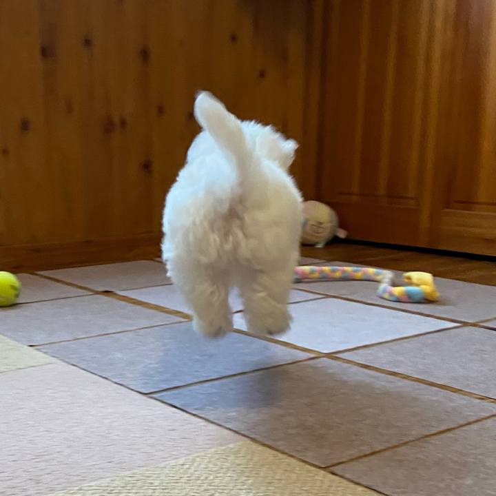 E7a3e68e 427a 40b9 8764 fc6decef711d 1741392974226