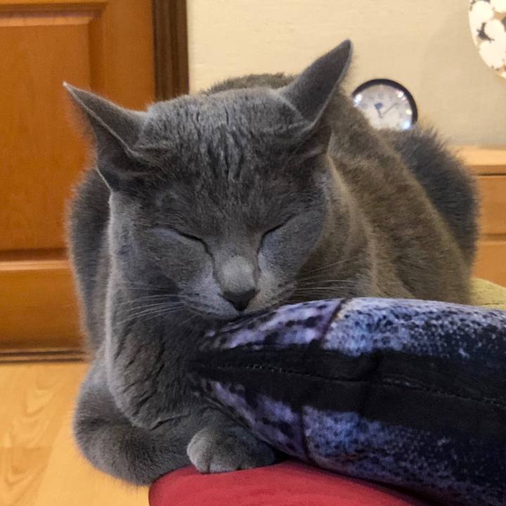 E7a3eb56 18c1 41b6 8a29 94bef49fb329 1580480950743