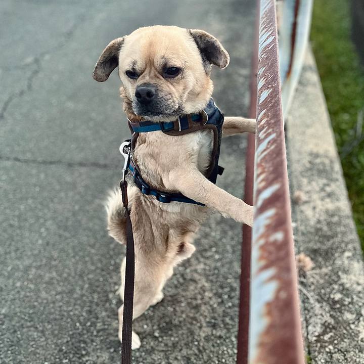 E7a418c7 39bc 4c7d ba78 97f4b41efd05 1770676074513