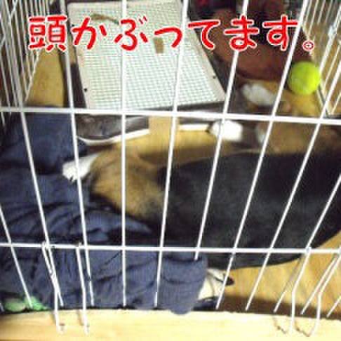 E7a419e2 f87c 40dc 9fcc 8e005066f38d 1687652434183