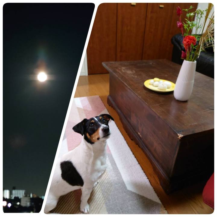 E7a4ba0a 85bf 4943 ab51 1d35eab00b2d 1662808641880