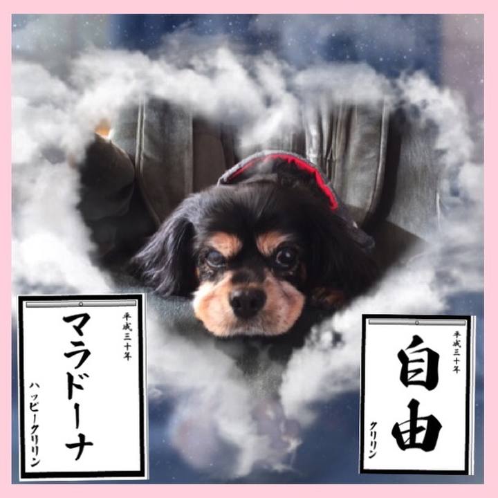 E7a4db53 55ad 485c 9fda 7027b3dfa0b5 1514962863884