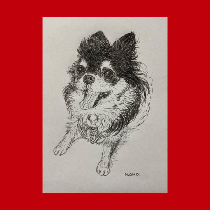 E7a4f69a 4f25 4cae b228 5b8798e98124 1654558270012