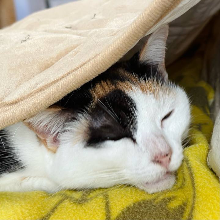 E7a51c47 5a52 4124 b0d6 0812b6d7deb7 1668909159244