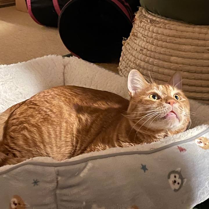 E7a521c0 fb3c 44e6 a05a 57aa874f3e47 1644063463851