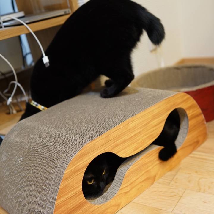 E7a52499 07b2 43cc be07 8eb9306a1c44 1546221703436