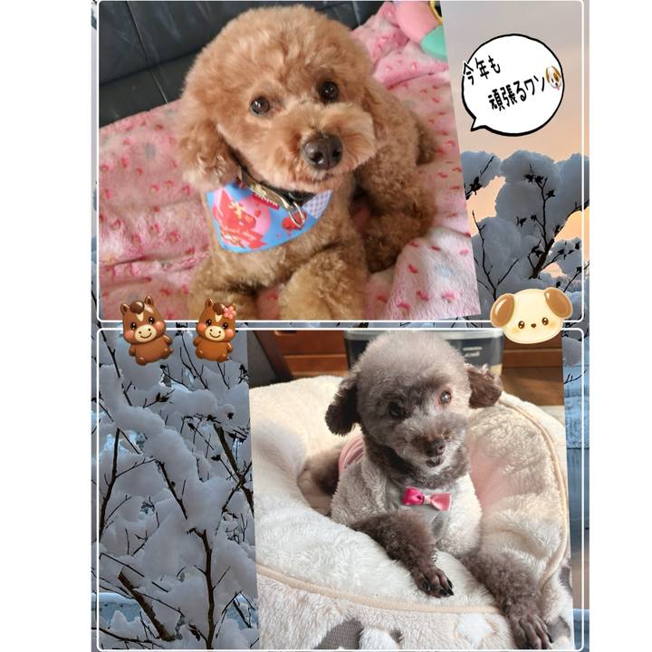 E7a53a8e 0d84 4439 939f 7ecd74b25907 1769406349727