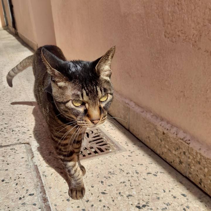 E7a545ca 418d 485c 9e12 9ebd8356353e 1757935939687