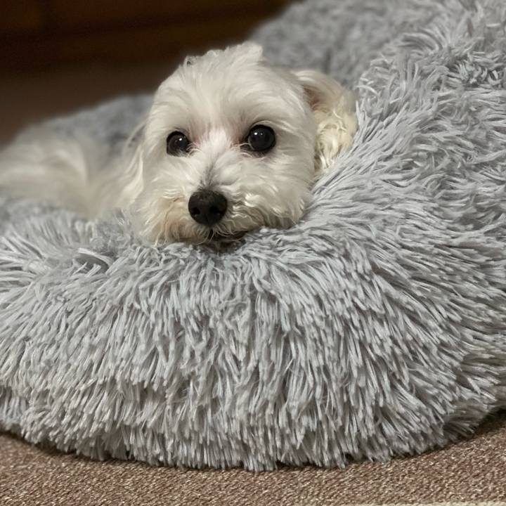 E7a5b631 62d1 4bdd 960a 17dd3bf7cf69 1634045644434