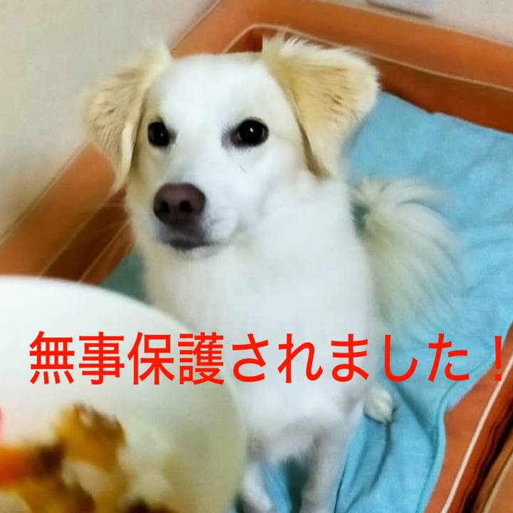 E7a5cf2e 9871 44e8 8bc6 38c9358250c1 1704284199105