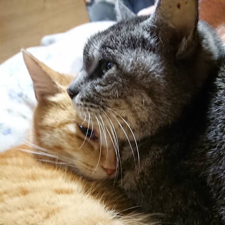 E7a5f225 3e14 4dde b5f3 f15be63e2490 1582806451072