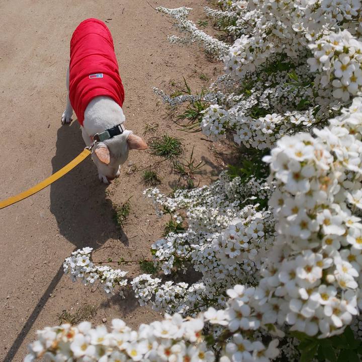 E7a61296 8023 4c1e 9251 18bec217dfc6 1554525601208