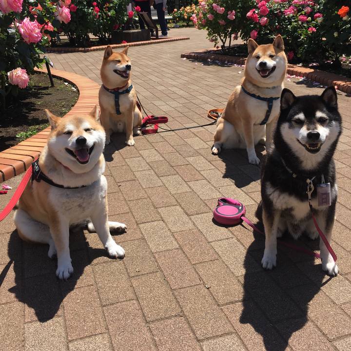 E7a6a656 1899 4e58 bc53 d2a830c21463 1619930467134