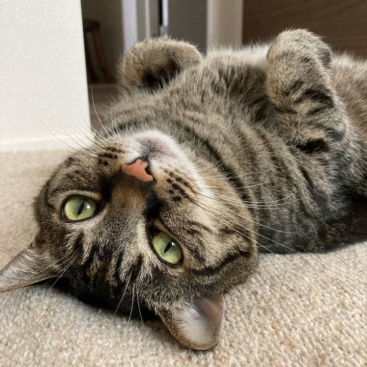 E7a6ac9c 1237 42f6 a089 08457e0465d8 1680924359818