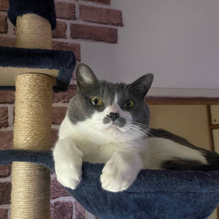 E7a6be95 f6bf 4687 9443 d22fff1268a1 1674773174814