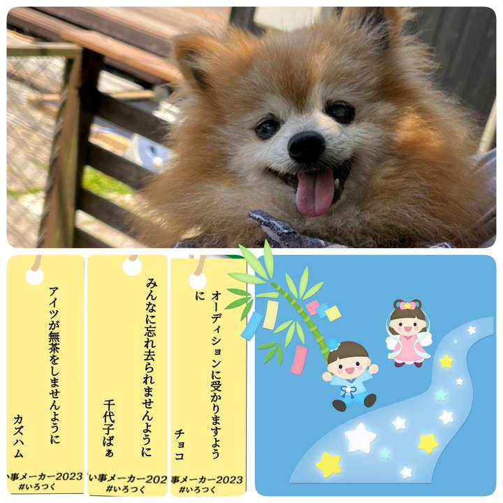 E7a6f6f5 1886 4657 9956 ad615738e8ef 1688741084005