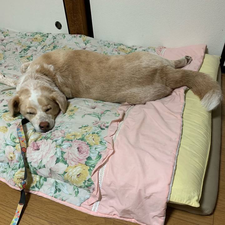 E7a6f864 44b5 4c59 b1e1 933f4f241dbd 1560699887920