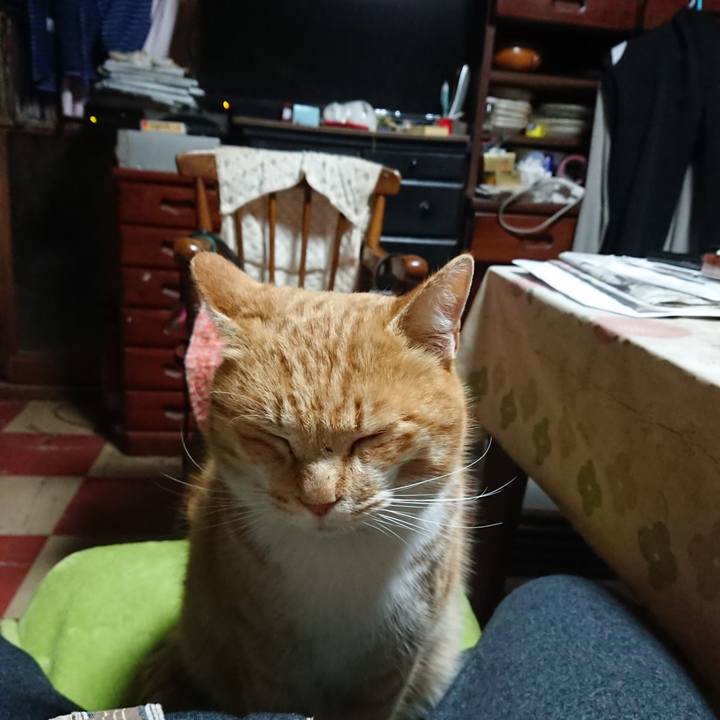 E7a6f9f8 c688 4409 ba80 43d029f6b782 1580241045390