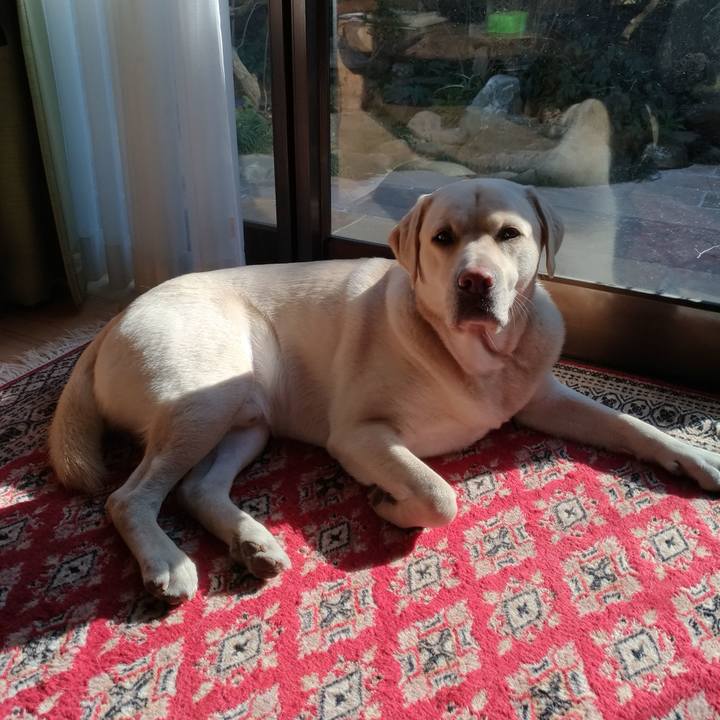 E7a70f0f 71ba 42ee a24f 002ebe9bfd32 1547438400253