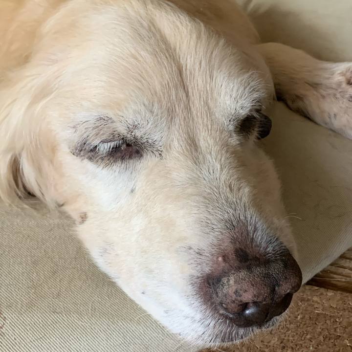 E7a71b18 a552 4f68 a921 62d9eac249c4 1611964510250