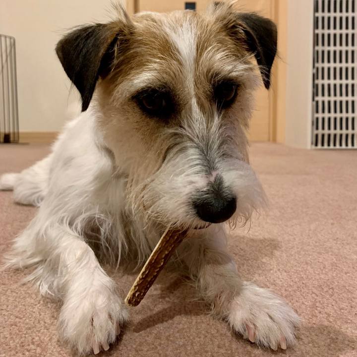 E7a722e2 3bd2 48ca b38d 0bd165fc449c 1648818008599