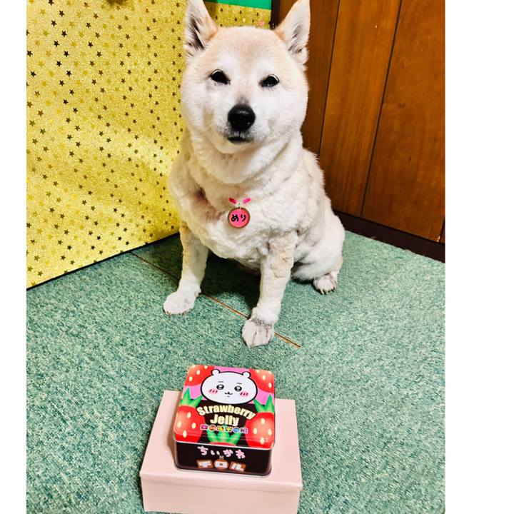 E7a73fb9 609d 4015 b800 fe4d0092acb4 1742810671057