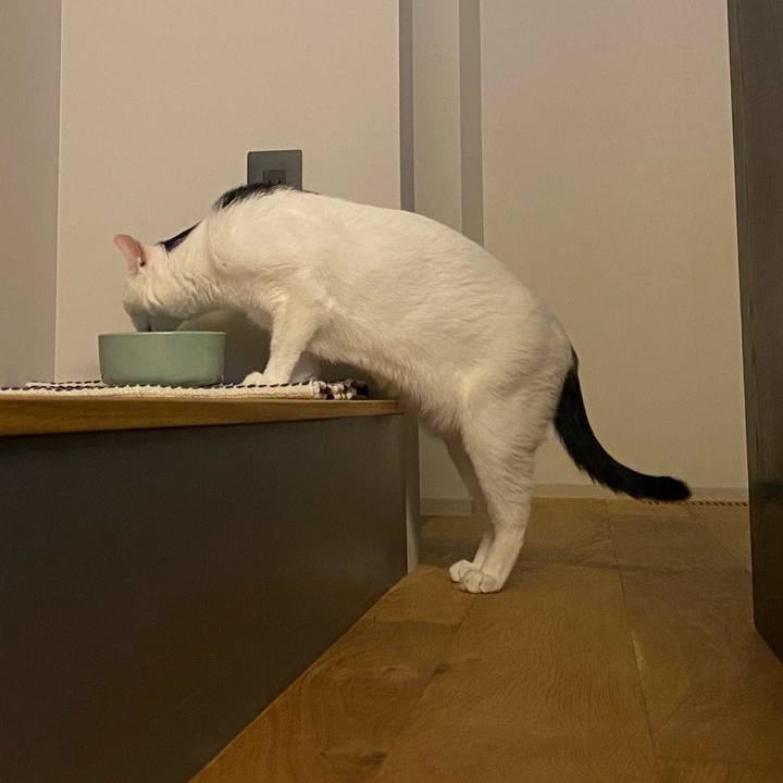 E7a7450e d138 4635 848b 23d8668321f8 1728255877490