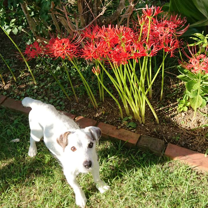 E7a7608c 990b 4821 84ed 95ab80eddf54 1601421334812