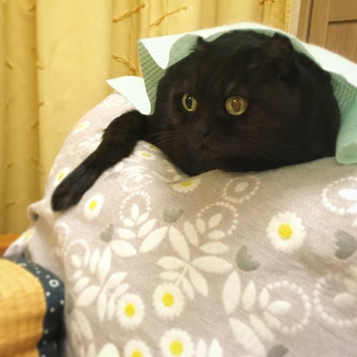 E7a7842b 5271 4cf1 83fd 684bf587da82 1510143649660