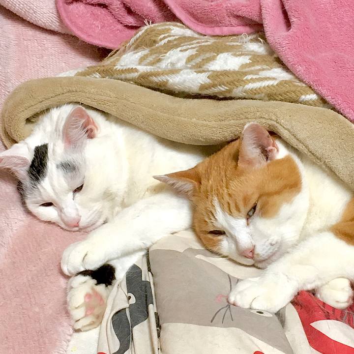 E7a7875b f240 446e acd4 1acddd1af92d 1580288613502