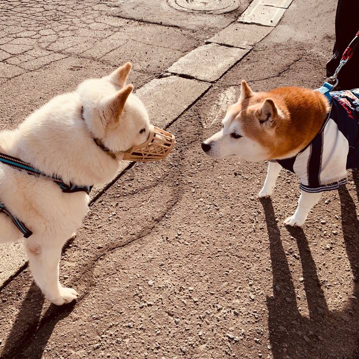 E7a79faf 7825 41ae 807e 0203e1490b7f 1681771007183