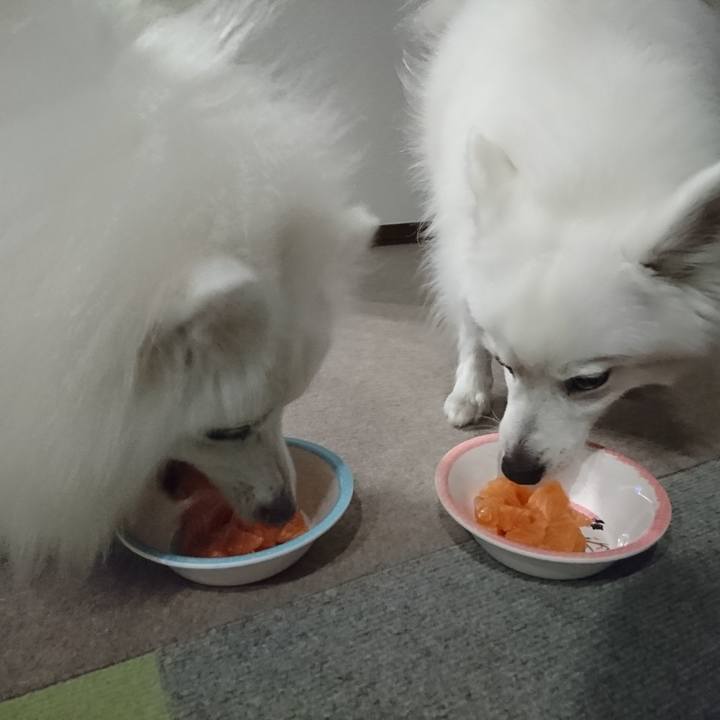 E7a7aa83 3f8c 4182 be33 1f55aec7b838 1622111996047