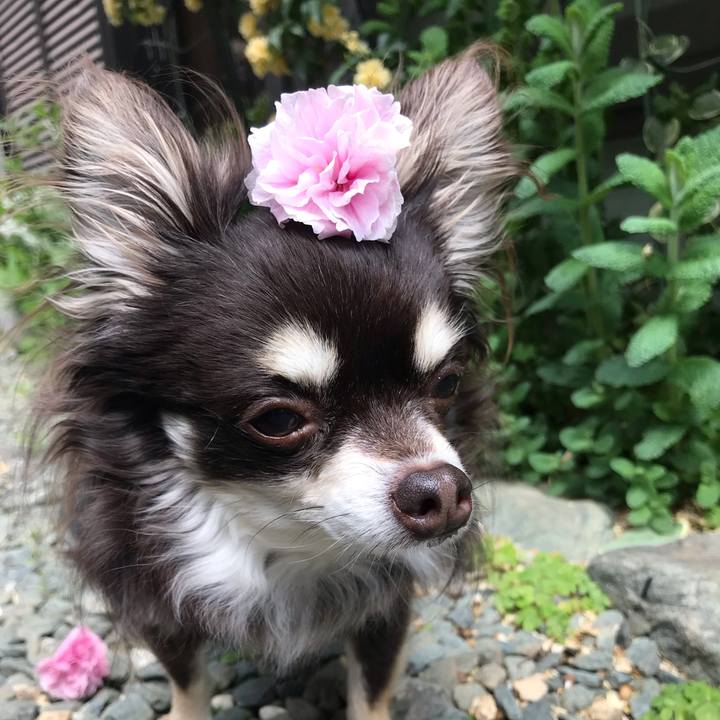 E7a7e6ac 3145 4a40 9b58 d45d45b8219d 1588063292389