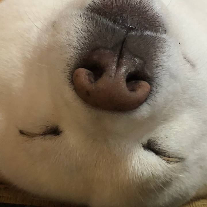 E7a81627 bb2a 4cd2 b2a8 66aa748c1506 1603613114946