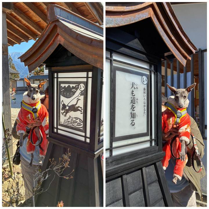 E7a8420f 1b89 4a99 8d48 b91ff36c8d1a 1774261290155