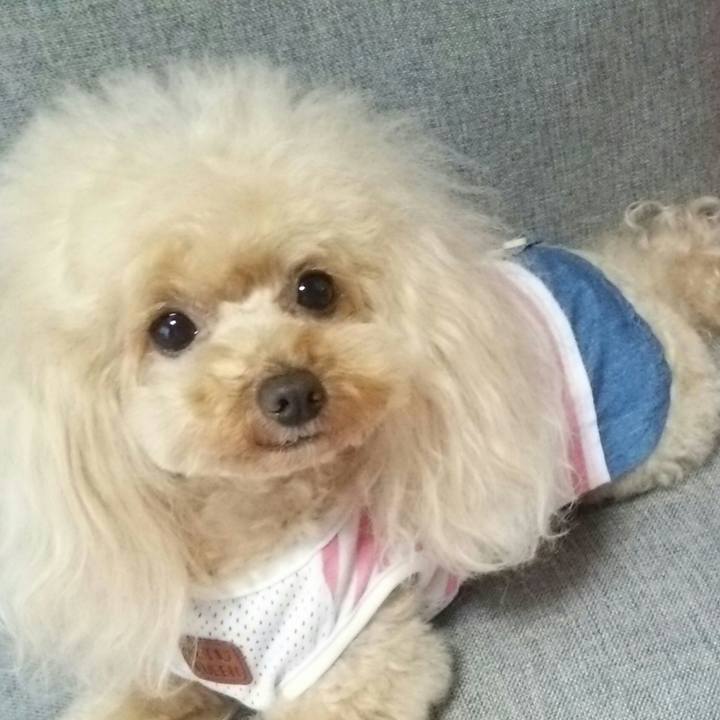 E7a84e4c 777b 4b79 88e5 8c09daa98bed 1560861099299